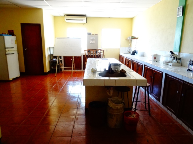 Laboratory, Asparagus Research Project in Nicaragua